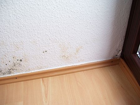 Slideshow Image 4